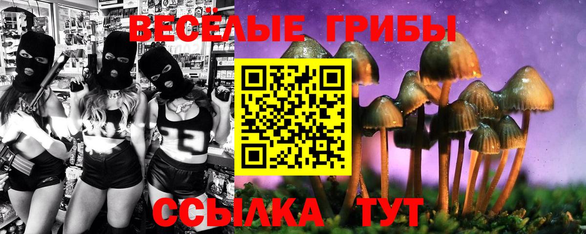 Железногорск  Галлюциногенные грибы Cubensis  Вход с VPN  Галлюциногенные грибы Magic Shrooms 